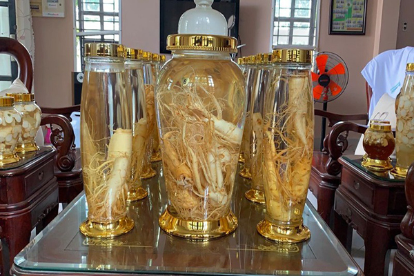 Giá rượu đinh lăng 1