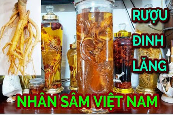 Rượu đinh lăng 2
