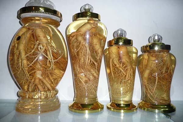 Rượu đinh lăng 3