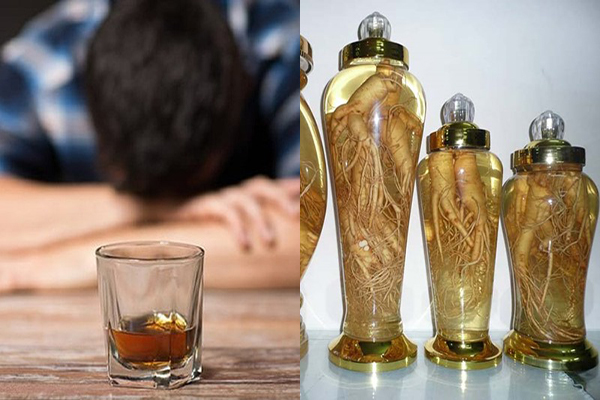 Tác dụng của rượu đinh lăng 3 Tác dụng của rượu đinh lăng 3