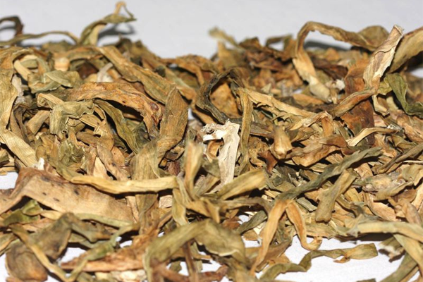 cây lược vàng ngâm rượu tại Hải Phòng 3