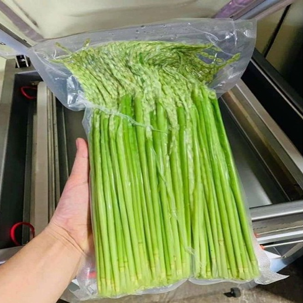 đòng đòng ngâm rượu tại Hải Phòng 5
