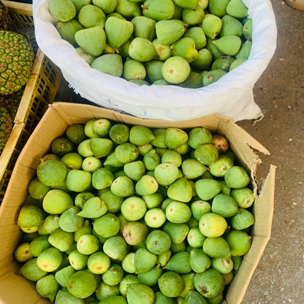 quả trâu cổ ngâm rượu tại Hải Phòng 7