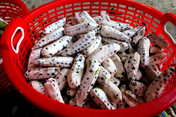 Cách ngâm rượu chuối hột 2