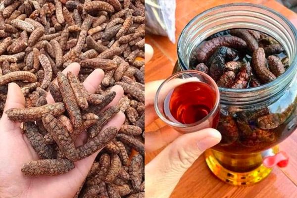 Cách ngâm rượu chuối hột 4