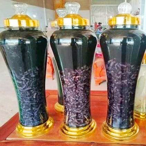 địa chỉ mua ba kích tím ngâm rượu tại hải phòng 1