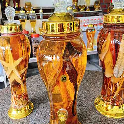 địa chỉ mua cá ngựa ngâm rượu tại Hải Phòng 1