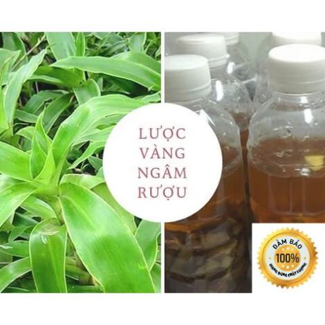 địa chỉ mua cây lược vàng ngâm rượu tại Hà Nội 1