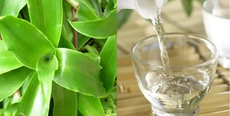 địa chỉ mua cây lược vàng ngâm rượu tại Thành Phố Hồ Chí Minh 1