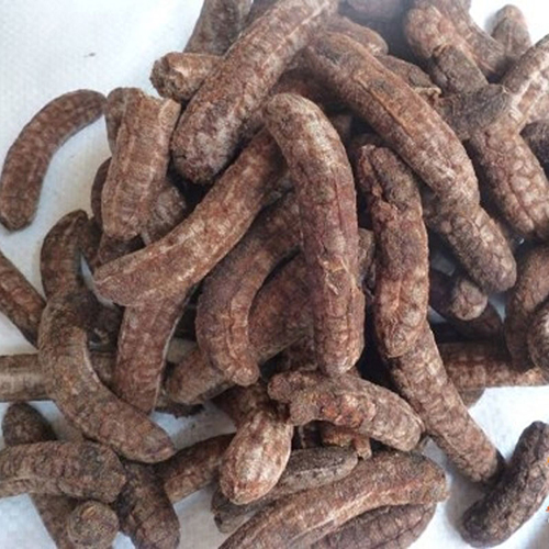 địa chỉ mua chuối hột ngâm rượu tại Đà Nẵng 1