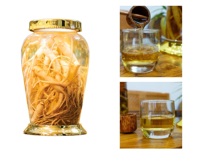 địa chỉ mua đẳng sâm ngâm rượu tại Hà Nội 1