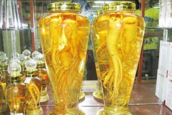 địa chỉ mua đinh lăng ngâm rượu tại Thành Phố Hồ Chí Minh 1
