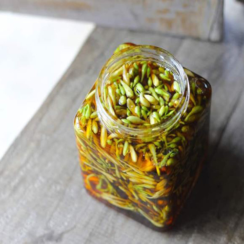 địa chỉ mua hoa đu đủ đực ngâm rượu tại Đà Nẵng 1