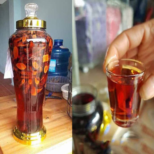 địa chỉ mua mú từn ngâm rượu tại Đà Nẵng 1