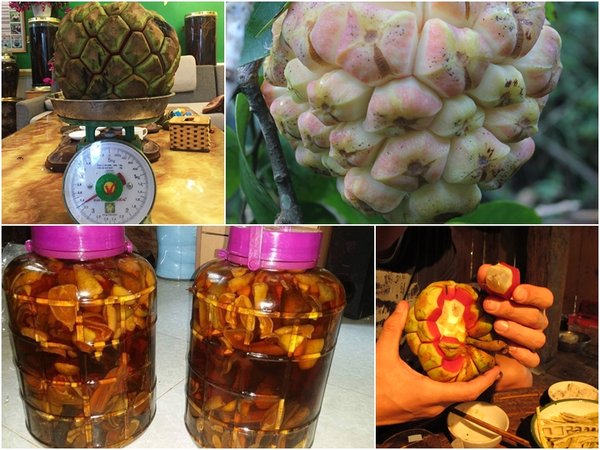 địa chỉ mua na rừng ngâm rượu tại Thành Phố Hồ Chí Minh 1