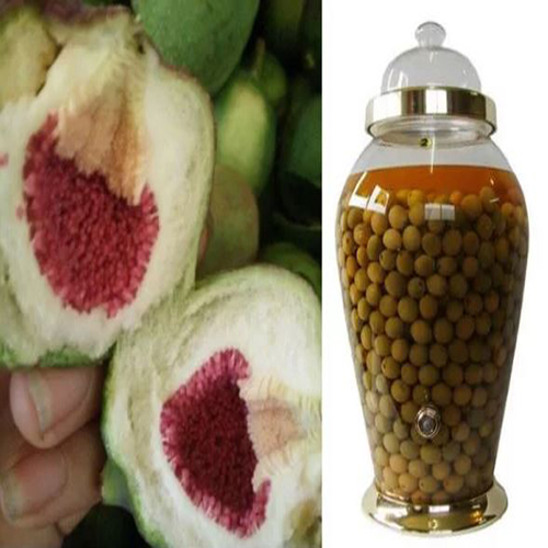 địa chỉ mua quả trâu cổ ngâm rượu tại Đà Nẵng 1