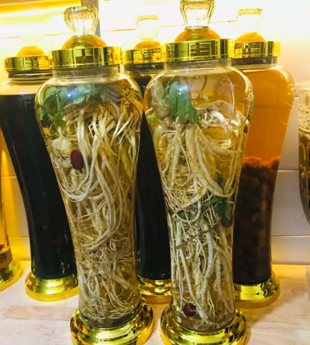 địa chỉ mua sâm đương quy ngâm rượu tại Hà Nội 1