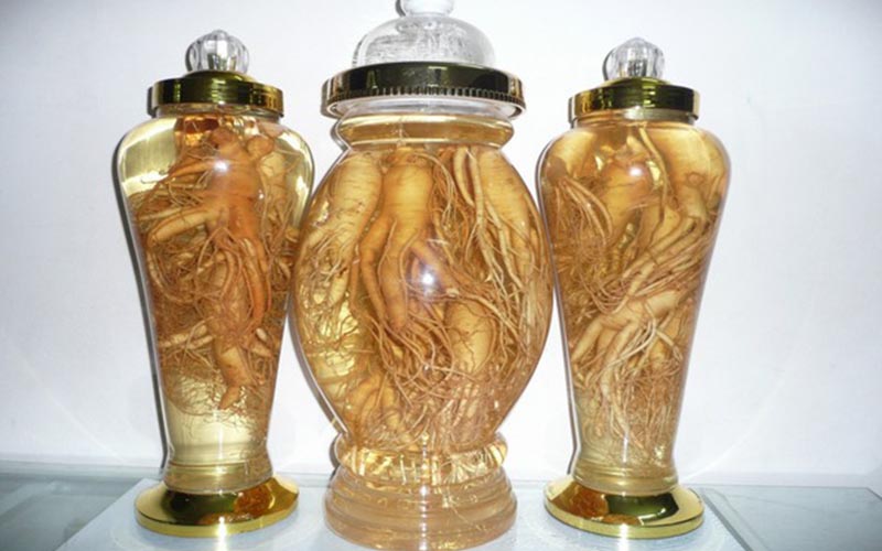địa chỉ mua sâm đương quy ngâm rượu tại Thành Phố Hồ Chí Minh 1