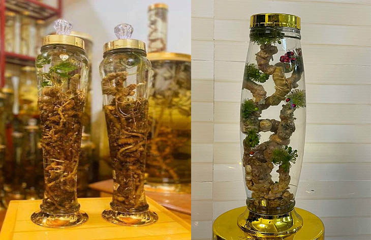địa chỉ mua sâm ngọc linh ngâm rượu tại Thành Phố Hồ Chí Minh 1