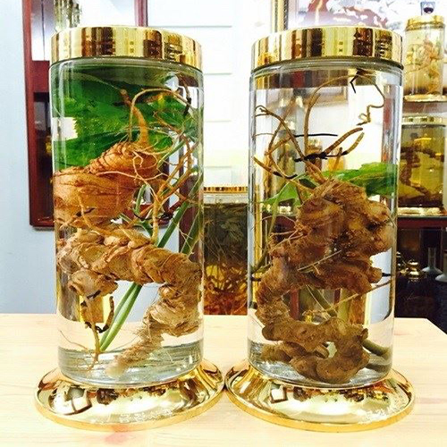 địa chỉ mua tam thất ngâm rượu tại Đà Nẵng 1