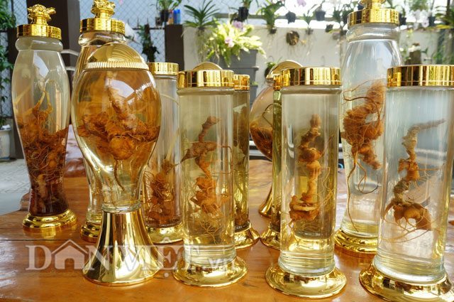 địa chỉ mua tam thất ngâm rượu tại Thành Phố Hồ Chí Minh 1