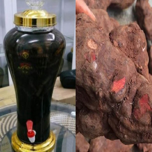 địa chỉ mua hà thủ ô ngâm rượu tại Đà Nẵng 1