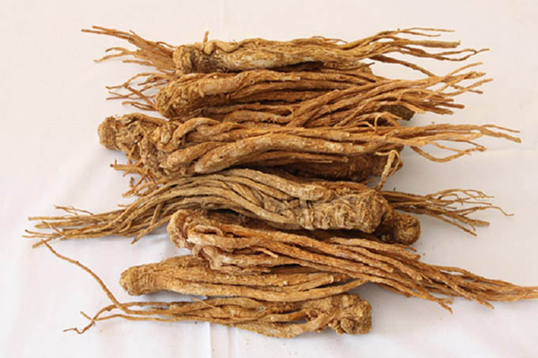 sâm đương quy ngâm rượu tại Bắc Giang 4