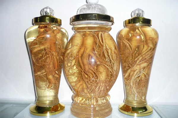 sâm đương quy ngâm rượu tại Bắc Giang 7