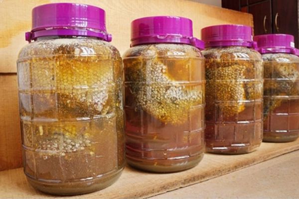 Rượu ngâm tổ ong ruồi 3