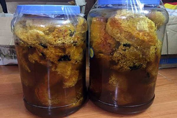 Rượu ngâm tổ ong ruồi 4