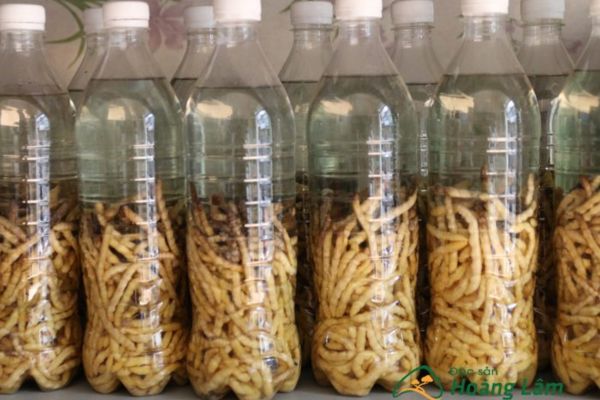 Rượu sâu chít 5