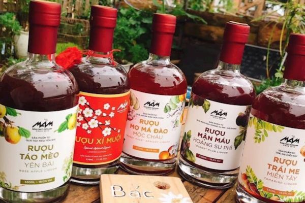 Rượu táo mèo Sapa 3 Rượu táo mèo Sapa 3