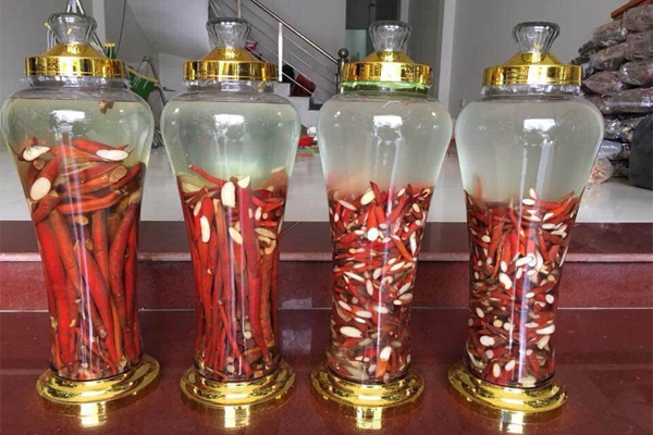 sâm cau ngâm rượu tại Bắc Giang 7