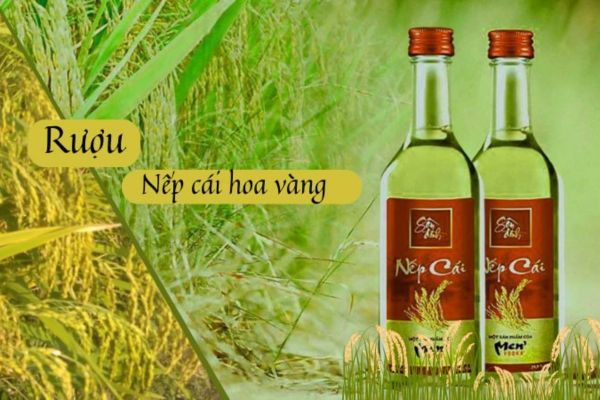 Rượu nếp cái hoa vàng 1