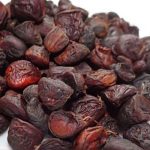 hạt dổi rừng Tây Bắc 5