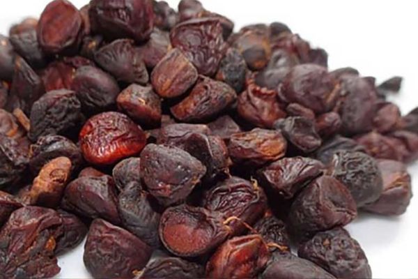 hạt dổi rừng Tây Bắc 5
