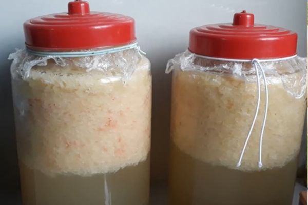 rượu bưởi 3