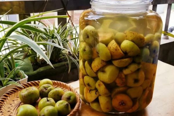 Rượu Táo Mèo 4