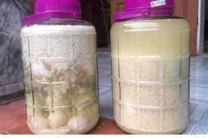 Rượu mật ong trứng gà bổ dưỡng, thơm ngon