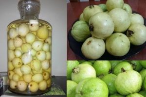 Rượu ổi thơm ngon và là loại thần dược chữa nhiều bệnh