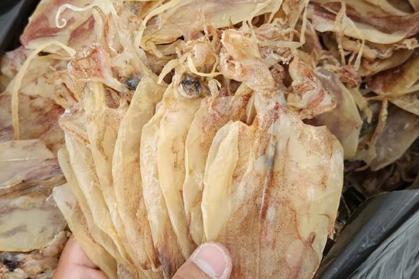 hải sản Phúc Gia