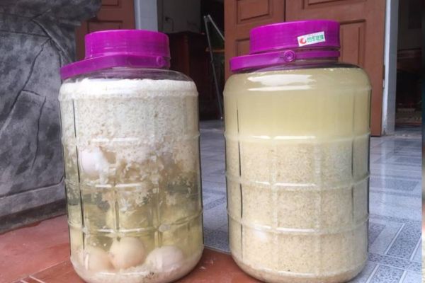 Rượu nếp cái hoa vàng ngâm trứng gà 3