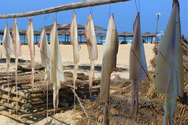 Calo trong mực khô